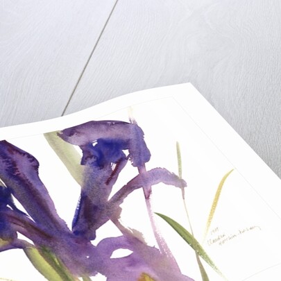 Iris, 1987 by Claudia Hutchins-Puechavy