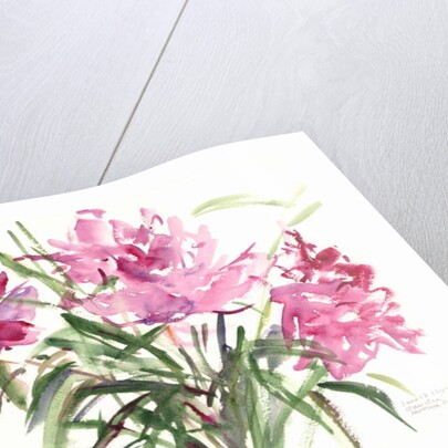 Peonies, 2004 by Claudia Hutchins-Puechavy