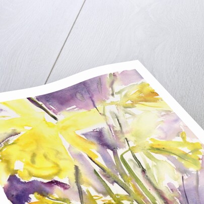 Daffodils, 2004 by Claudia Hutchins-Puechavy