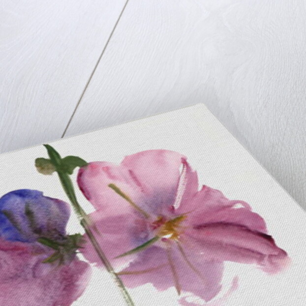 Hollyhocks, 1988 by Claudia Hutchins-Puechavy