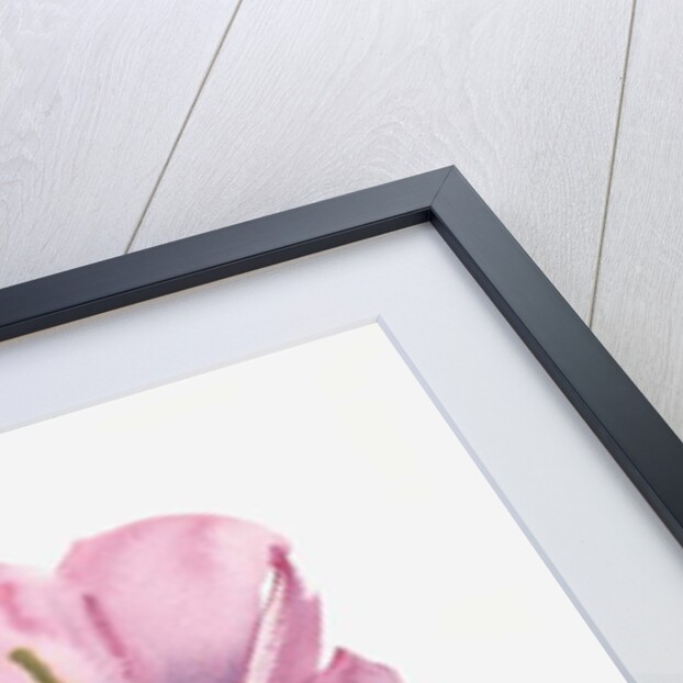 Hollyhocks, 1988 by Claudia Hutchins-Puechavy