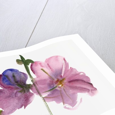 Hollyhocks, 1988 by Claudia Hutchins-Puechavy