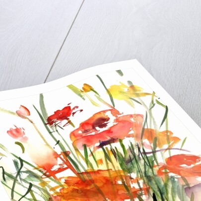 Renoncules, 2001 by Claudia Hutchins-Puechavy