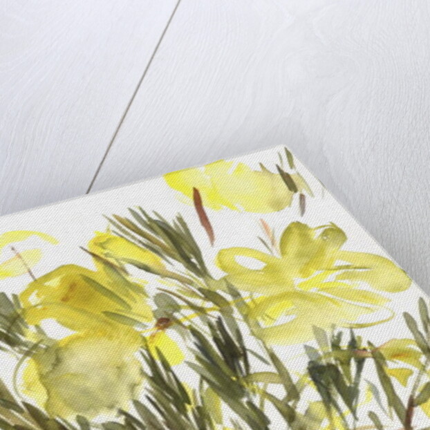 Evening primroses; 2004 by Claudia Hutchins-Puechavy