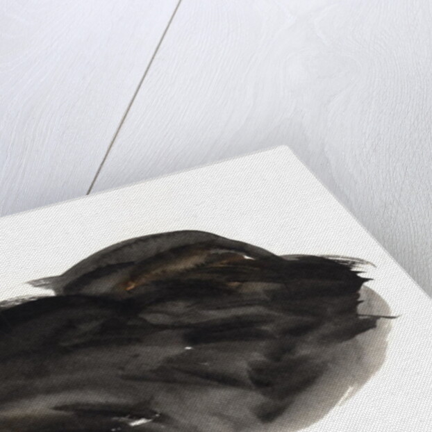 Sleeping Cat, 1985 by Claudia Hutchins-Puechavy