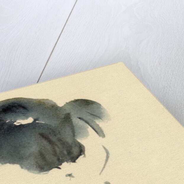 Cat, 1985 by Claudia Hutchins-Puechavy