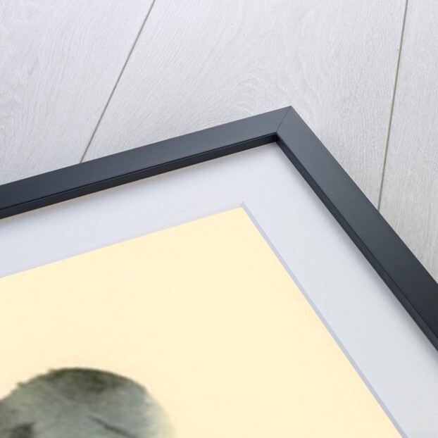 Cat, 1985 by Claudia Hutchins-Puechavy