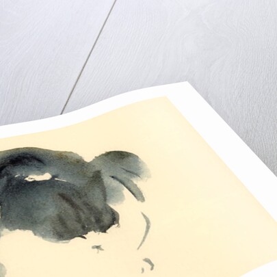 Cat, 1985 by Claudia Hutchins-Puechavy