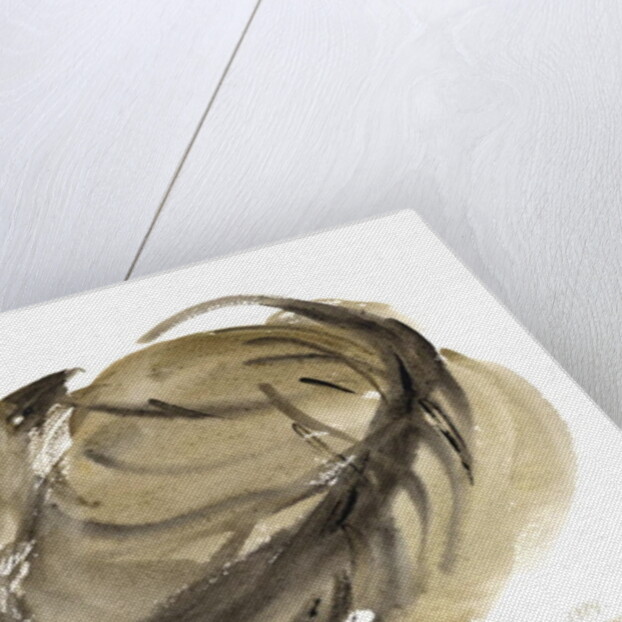 Sleeping cat, 1984 by Claudia Hutchins-Puechavy