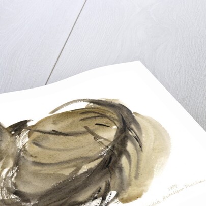 Sleeping cat, 1984 by Claudia Hutchins-Puechavy