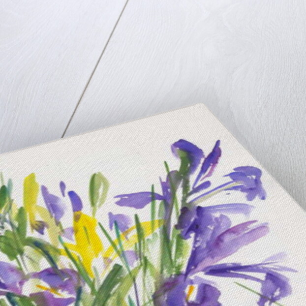 Irises, 1999 by Claudia Hutchins-Puechavy