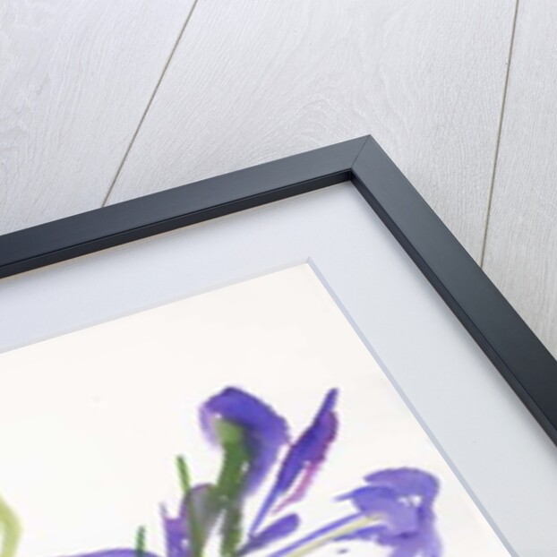 Irises, 1999 by Claudia Hutchins-Puechavy