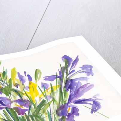 Irises, 1999 by Claudia Hutchins-Puechavy