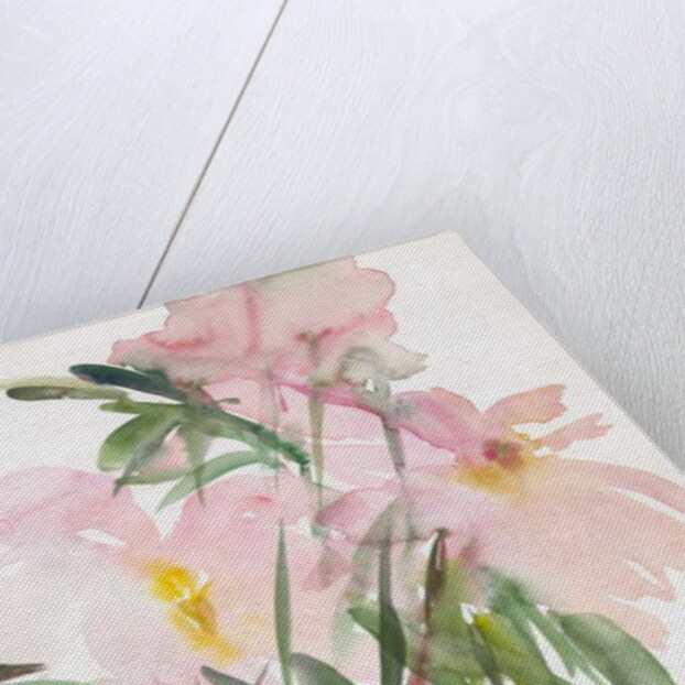 Peonies, 1987 by Claudia Hutchins-Puechavy