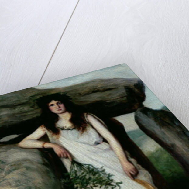 The Druidess by Armand Laroche