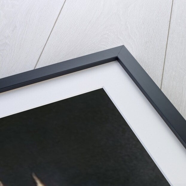 A Horned Witch by French School