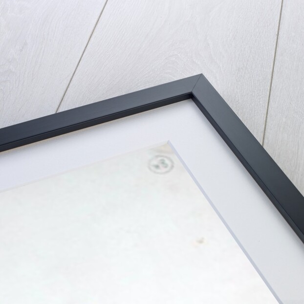 Praetorian by Eugene Giraud