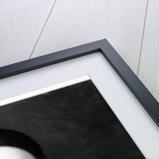 Portrait of Jean Charles Deburau as Pierrot by French School