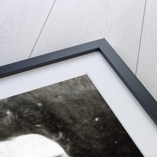 Rosa Luxemburg by German Photographer