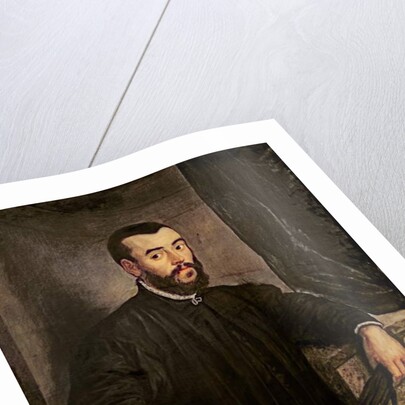 Portrait of Andreas Vesalius by Jacopo Robusti Tintoretto