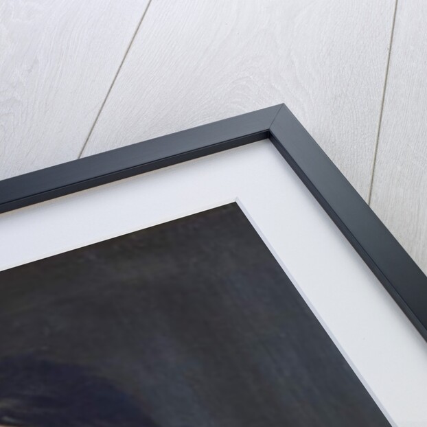 Baron Jean Dominique Larrey by French School