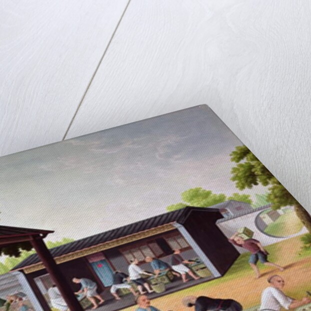 Packing Tea into Boxes by School Chinese