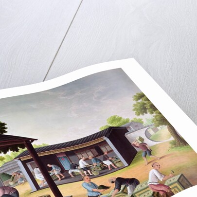 Packing Tea into Boxes by School Chinese