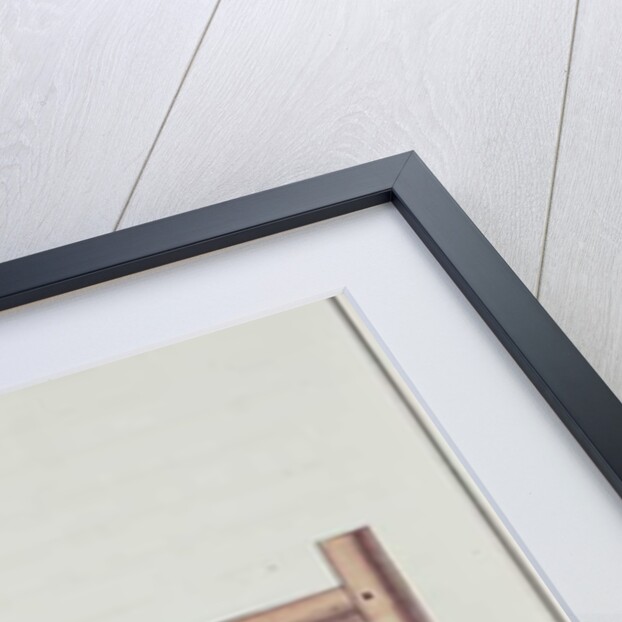 Punishment with a knout while being suspended from a rope by French School