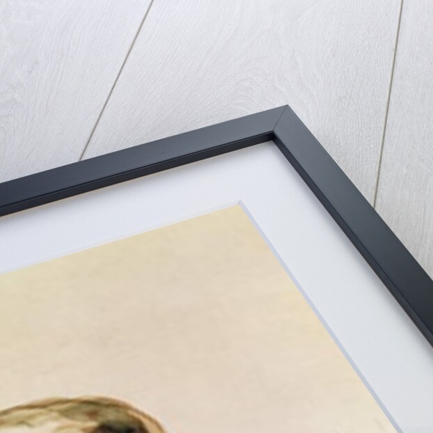 Caricature of Gustave Courbet holding the Colonne de Vendome by Dupendant Dupendant