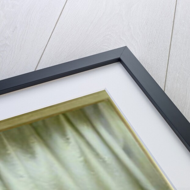 The Letter by Vittorio Reggianini