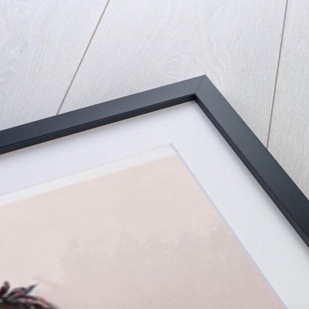 A sorceress telling the future with corn and salt in Ghzannah, 1835 by Theodore Leblanc