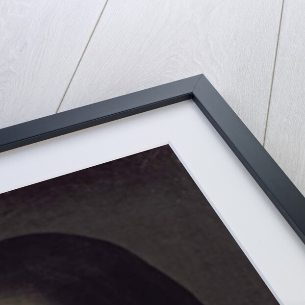 Portrait of a girl, presumed to be Mary Queen of Scots by French School