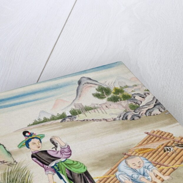 Chinese using cormorants to catch fish by School Chinese