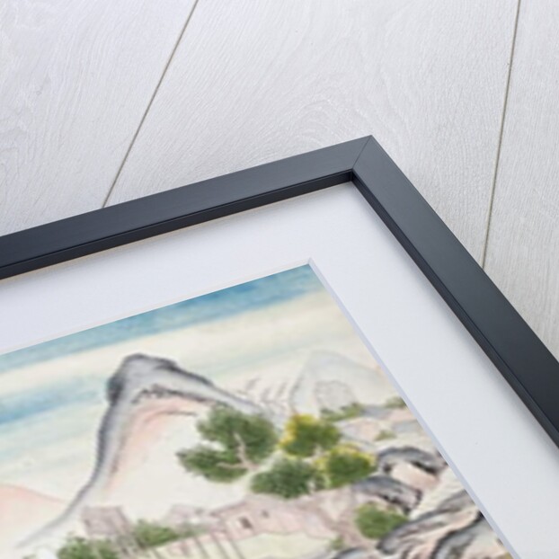 Chinese using cormorants to catch fish by School Chinese