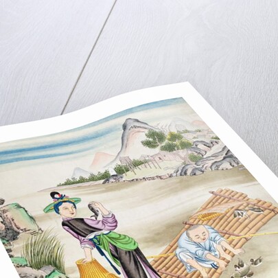 Chinese using cormorants to catch fish by School Chinese