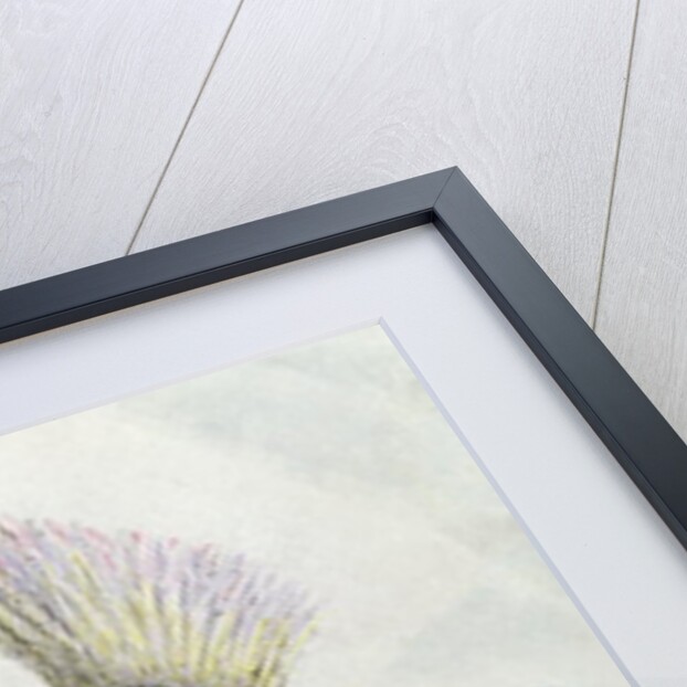 King Temoana on the island of Nuka-Hiva dressed in the uniform of a French colonel, c.1841-48 by Maximilien Radiguet