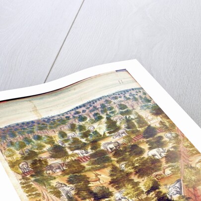 Elephant Hunt in Siam, from an account of the Jesuits in Siam, 1688 by French School