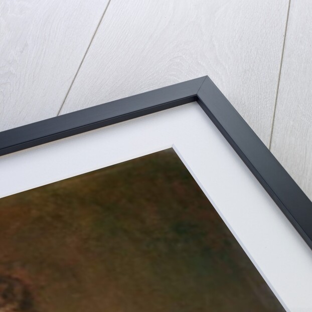 Portrait of a Young Woman, c.1900 by Pascal Adolphe Jean Dagnan-Bouveret