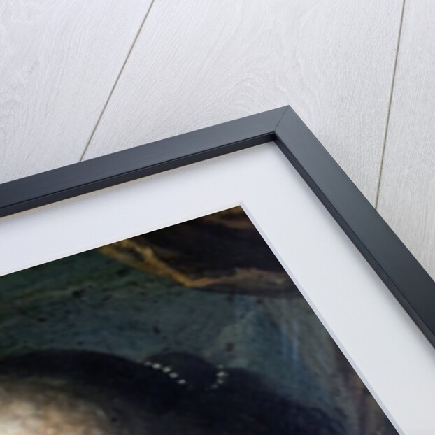 Portrait of Madame de Scudery by French School