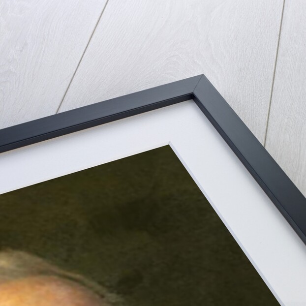 Pierre-Joseph Desault by French School