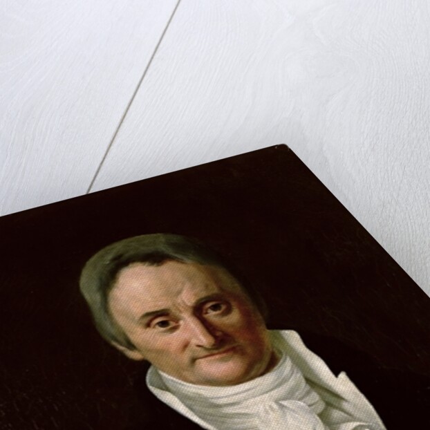 Philippe Pinel by Anna M. Merimee