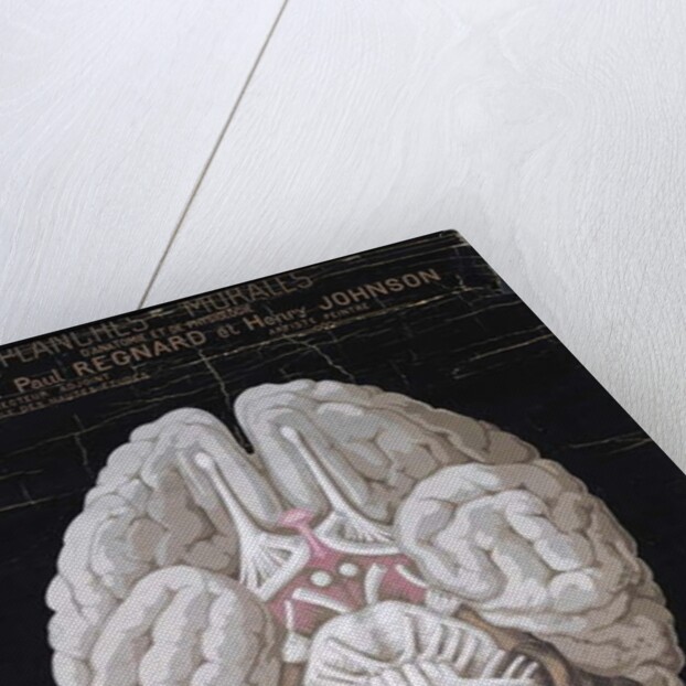 The Brain by French School