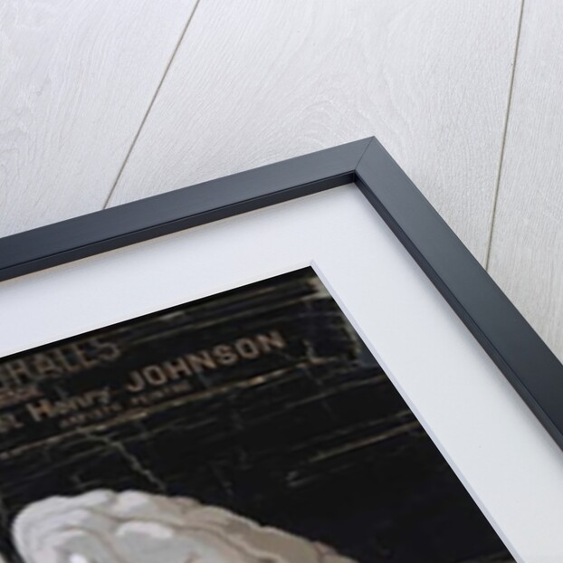 The Brain by French School