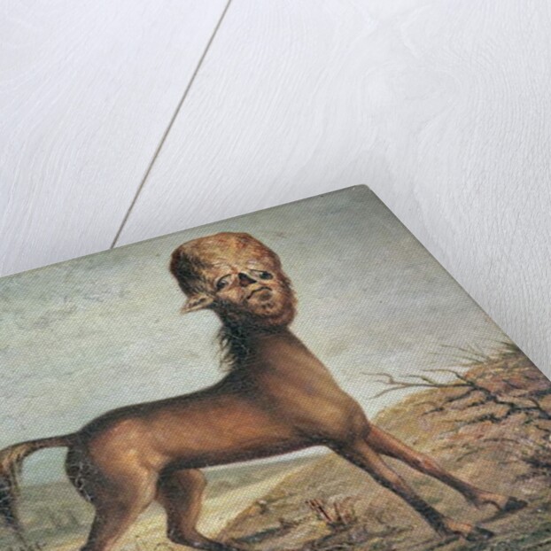 Hydrocephalic mare, born 21st January 1821, 1835 by French School