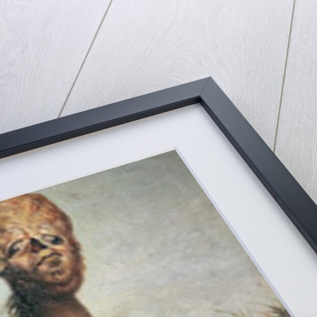 Hydrocephalic mare, born 21st January 1821, 1835 by French School