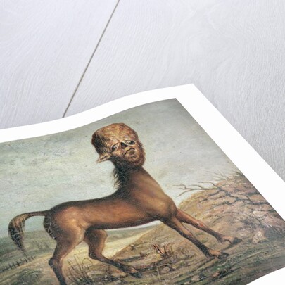 Hydrocephalic mare, born 21st January 1821, 1835 by French School