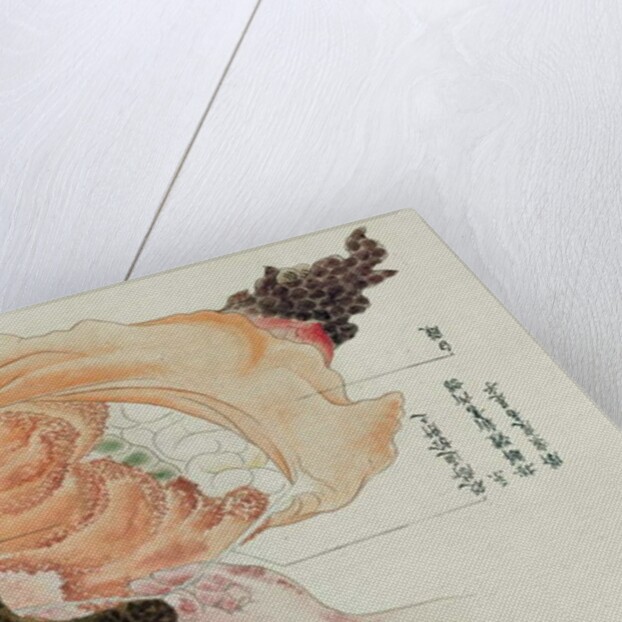 The stomach and intestines from the dissection of a torture victim of 1796 by Japanese School