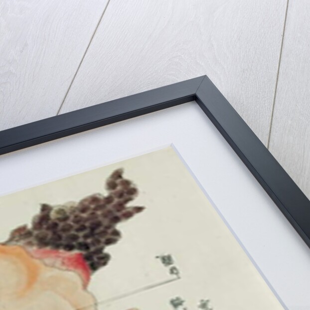 The stomach and intestines from the dissection of a torture victim of 1796 by Japanese School