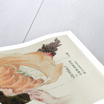 The stomach and intestines from the dissection of a torture victim of 1796 by Japanese School