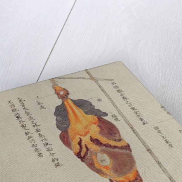 The lungs from the dissection of a torture victim of 1796 by Japanese School